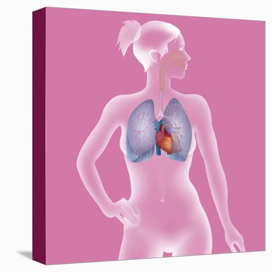 Stretched Canvas Print, , large