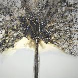 Summer Tree Lights-Caroline Ashwood-Framed Giclee Print