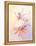 Caroline Dandelion-Robbin Rawlings-Framed Stretched Canvas