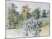 Giclee Print