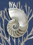 Shell Coral Silver on Blue II-Caroline Kelly-Art Print