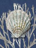 Shell Coral Silver on Blue IV-Caroline Kelly-Art Print
