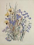 Iris and Blue Speedwell-Caroline Louisa Meredith-Giclee Print