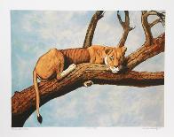 Lioness Sambaru-Caroline Schultz-Collectable Print