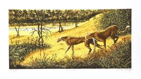 Impalas at Waterhole-Caroline Schultz-Framed Collectable Print