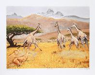 Ngorongoro Lioness-Caroline Schultz-Collectable Print