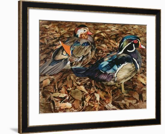 Carolonia Ducks, 1991-Sandra Lawrence-Framed Giclee Print