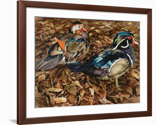 Carolonia Ducks, 1991-Sandra Lawrence-Framed Giclee Print