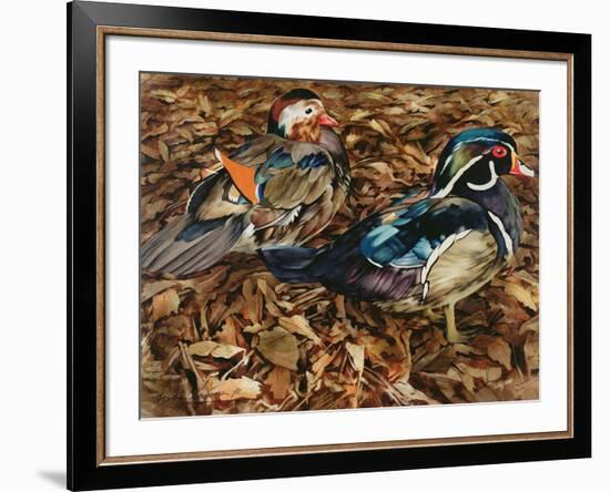 Carolonia Ducks, 1991-Sandra Lawrence-Framed Giclee Print