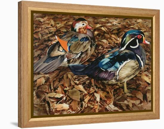 Carolonia Ducks, 1991-Sandra Lawrence-Framed Premier Image Canvas