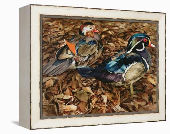 Carolonia Ducks, 1991-Sandra Lawrence-Framed Premier Image Canvas