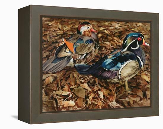 Carolonia Ducks, 1991-Sandra Lawrence-Framed Premier Image Canvas