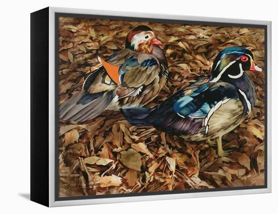 Carolonia Ducks, 1991-Sandra Lawrence-Framed Premier Image Canvas