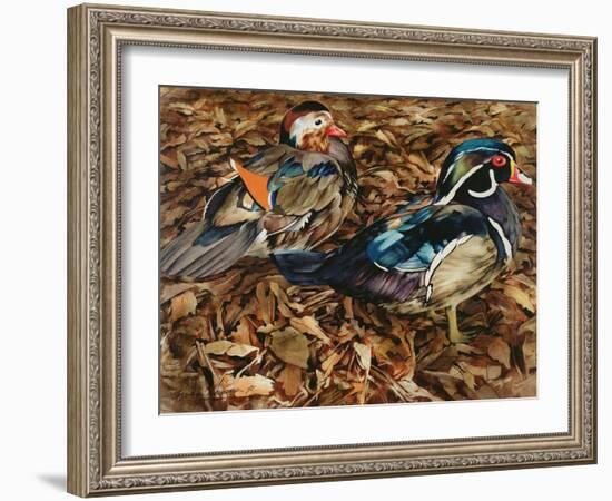 Carolonia Ducks, 1991-Sandra Lawrence-Framed Giclee Print