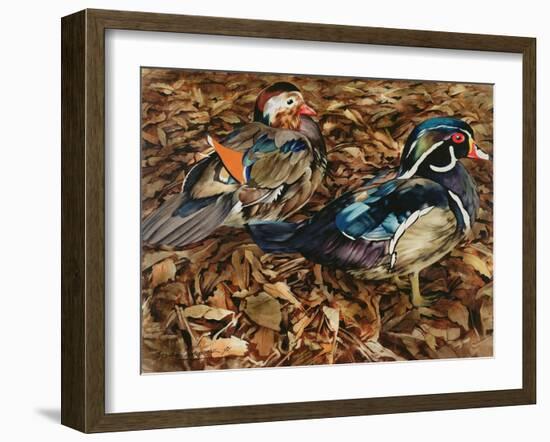 Carolonia Ducks, 1991-Sandra Lawrence-Framed Giclee Print