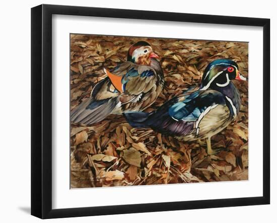 Carolonia Ducks, 1991-Sandra Lawrence-Framed Giclee Print