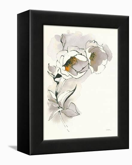 Carols Roses II Taupe-Shirley Novak-Framed Stretched Canvas