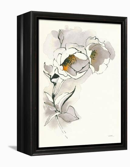 Carols Roses II Taupe-Shirley Novak-Framed Stretched Canvas