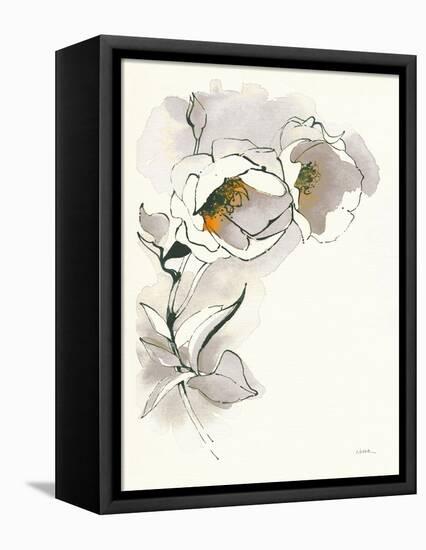 Carols Roses II Taupe-Shirley Novak-Framed Stretched Canvas
