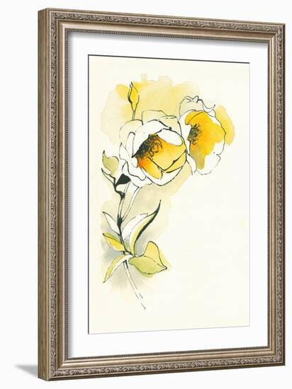 Carols Roses II-Shirley Novak-Framed Art Print