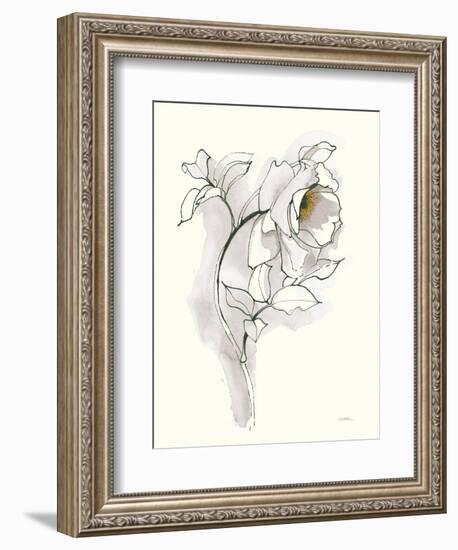 Carols Roses III Soft Gray-Shirley Novak-Framed Art Print