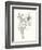 Carols Roses III Soft Gray-Shirley Novak-Framed Art Print
