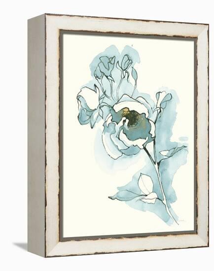 Carols  Roses IV Cerulean-Shirley Novak-Framed Stretched Canvas