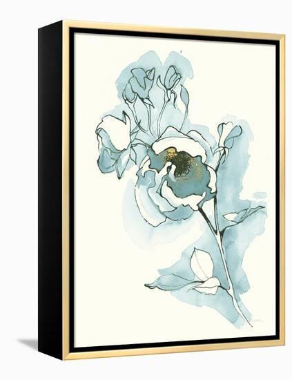 Carols  Roses IV Cerulean-Shirley Novak-Framed Stretched Canvas