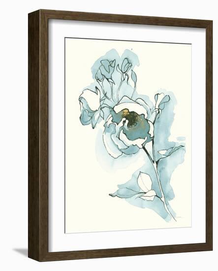 Carols  Roses IV Cerulean-Shirley Novak-Framed Art Print