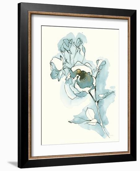 Carols  Roses IV Cerulean-Shirley Novak-Framed Art Print