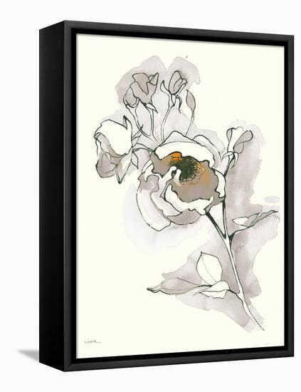 Carols Roses IV Tan-Shirley Novak-Framed Stretched Canvas