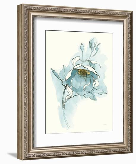 Carols Roses V Blue-Shirley Novak-Framed Art Print