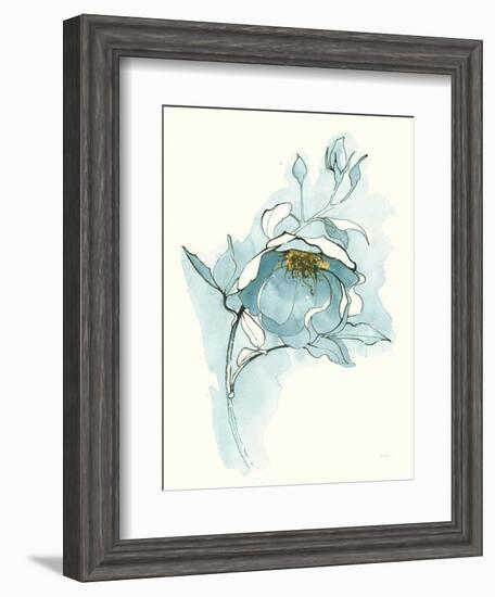 Carols Roses V Blue-Shirley Novak-Framed Art Print