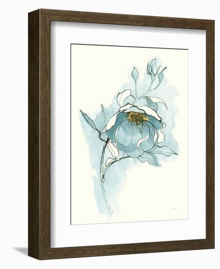 Carols Roses V Blue-Shirley Novak-Framed Art Print