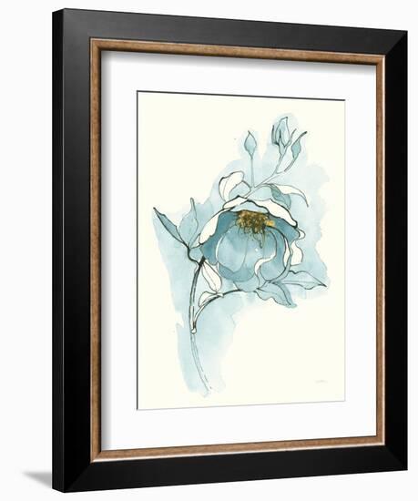 Carols Roses V Blue-Shirley Novak-Framed Art Print