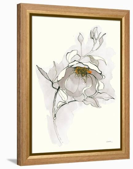 Carols Roses V Off White-Shirley Novak-Framed Stretched Canvas
