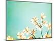Premium Photographic Print
