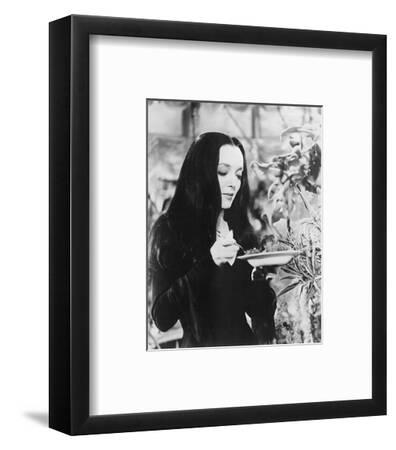'Carolyn Jones - The Addams Family' Photo | Art.com
