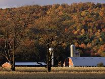 Fall Colors and a Field of Dried Soybeans in Pleasant Gap, Pennsylvania, October 20, 2006-Carolyn Kaster-Photographic Print