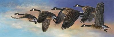 Heron Haven-Carolyn Mock-Framed Art Print