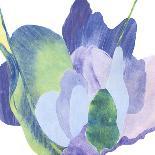 Cabbage Rose I-Carolyn Roth-Framed Art Print