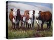 Stretched Canvas Print