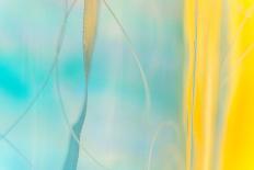 Blue Palms, Antibes-Caroyl La Barge-Framed Photographic Print