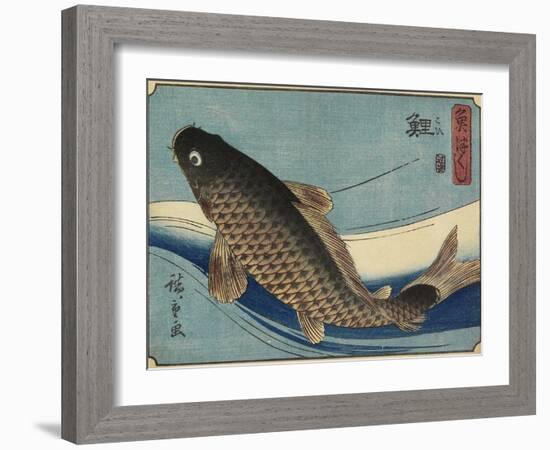 Carp, 1830-1844-Utagawa Hiroshige-Framed Giclee Print