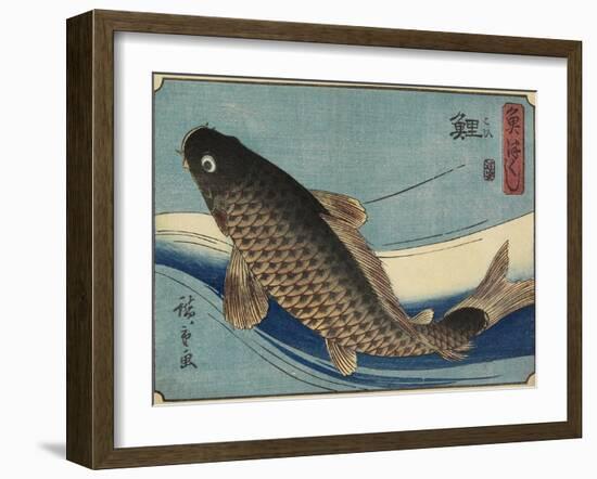 Carp, 1830-1844-Utagawa Hiroshige-Framed Giclee Print