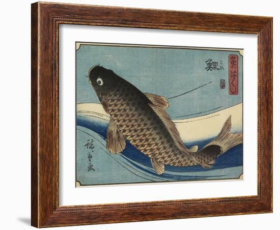 Carp, 1830-1844-Utagawa Hiroshige-Framed Giclee Print
