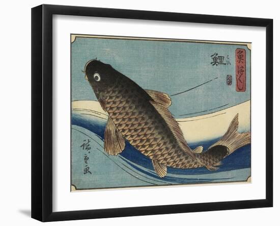 Carp, 1830-1844-Utagawa Hiroshige-Framed Giclee Print