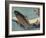 Carp, 1830-1844-Utagawa Hiroshige-Framed Giclee Print