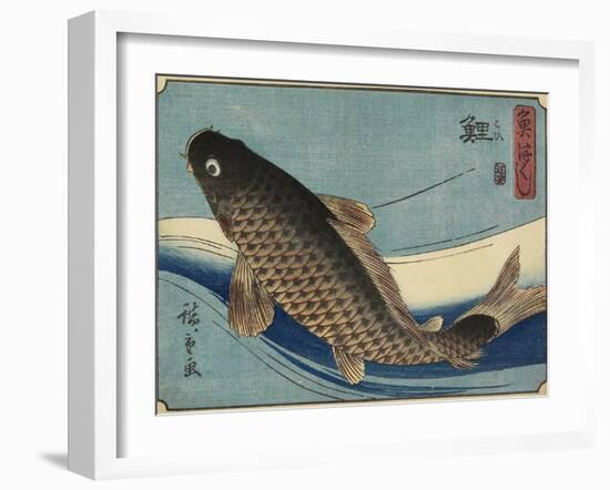 Carp, 1830-1844-Utagawa Hiroshige-Framed Giclee Print