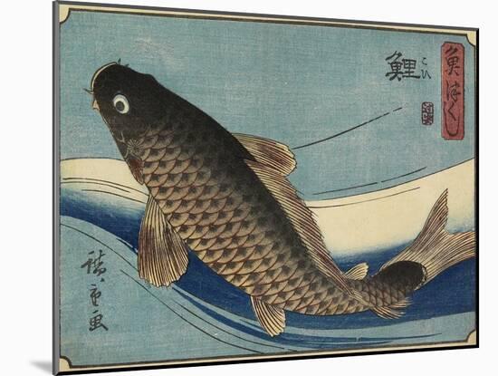 Carp, 1830-1844-Utagawa Hiroshige-Mounted Giclee Print